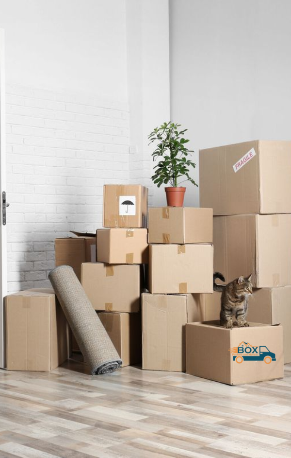 Home Shifting Services near me 